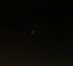 Cygnus