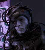 Borg compound guard
