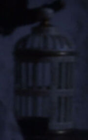 Cage, 2151