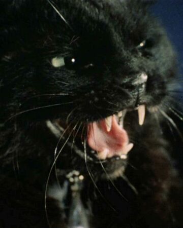 Catspaw Episode Memory Alpha Fandom