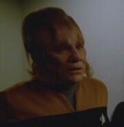 Neelix (Ensign)