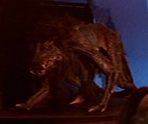 Monster dog full