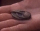 Bajoran combadge
