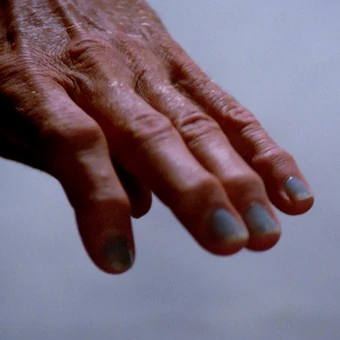 Ferengi Memory Alpha Fandom