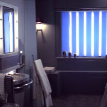 Bathroom Memory Alpha Fandom