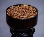 Worms, 2364