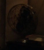 Ventilator
