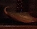 Holmes slipper
