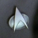 Provisional officer combadge