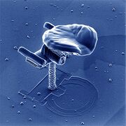 USS Enterprise nanomodel
