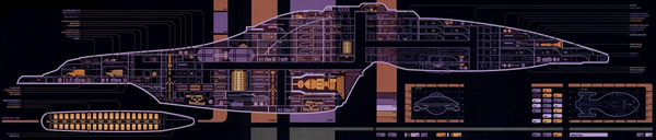 Voyager MSD