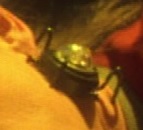 Neuro-transceiver