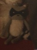 Stuffed raccoon