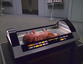 Incubator