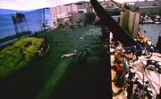 Klingon Bird-of-Prey and humpback whale filming
