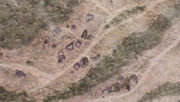 Terra Nova colony, overview