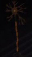 Neuron