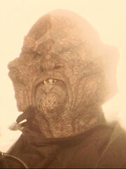 Kolaraner frontal