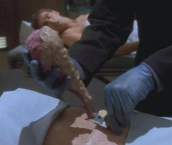 what does symbiont mean