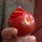 Waterplum