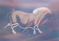 Second Chinese Horse Memory Alpha Fandom