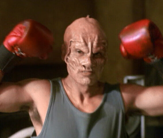 File:Terrellian boxer.jpg