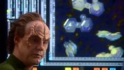 Phlox Virus