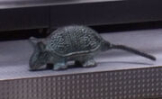 Trip's armadillo
