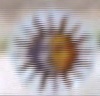Sun of May