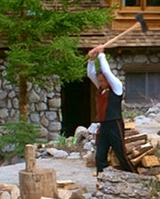 Woodchop
