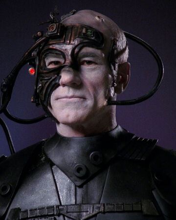 Locutus Of Borg Memory Alpha Fandom