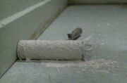 Paint roller