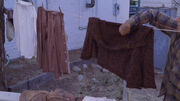 Clothesline