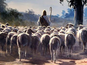 JESUS O PASTOR COM AS OVELHAS
