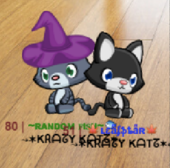 Community Random Fish Meow Playground Wiki Fandom