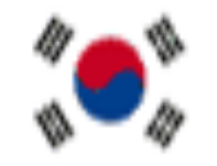 South Korean Flag