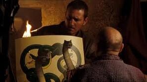 Images (11)