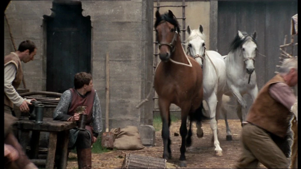 Horse Merlin Wiki FANDOM powered by Wikia