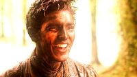 Muddymerlin