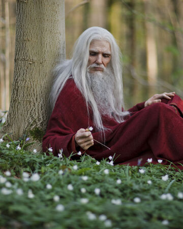A Servant Of Two Masters Merlin Wiki Fandom
