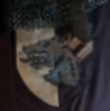 Odin's crest
