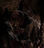 Wilddeoren3
