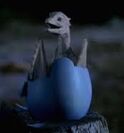 Dragon Egg