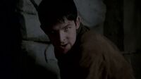 Merlinmagic