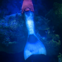 Transformation Mermaids Wiki Fandom