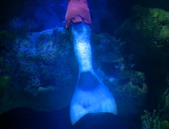 Transformation | Mermaids Wiki | FANDOM powered by Wikia