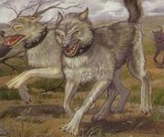 Warwolf