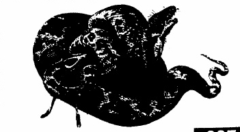 Snake3