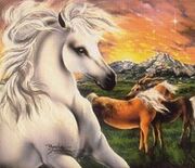 WildHorses2