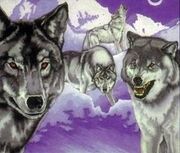 WhiteMountainWolves